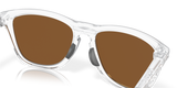 Oakley Frogskins Range Glasses-7