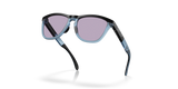 Oakley Frogskins Range A Glasses-5