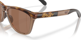 Oakley Frogskins Range XL Glasses-6