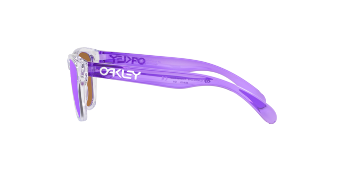 Oakley Frogskins XXS Glasses-11
