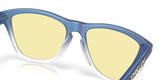 Oakley Frogskins Glasses-7