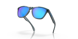 Oakley Frogskins Glasses-9