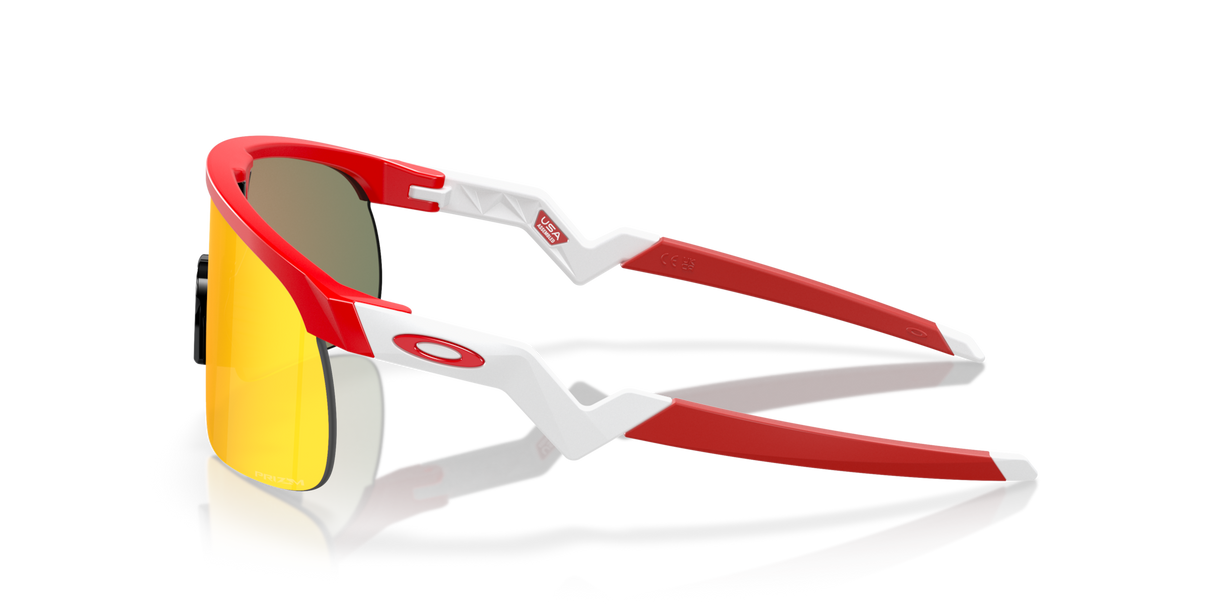 Oakley Resistor Sunglasses-3