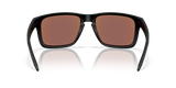 Oakley Holbrook XXL A Glasses-4