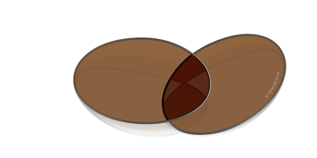 Oakley Plantaris Replacement Lenses