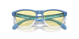 Oakley Frogskins S Glasses-9