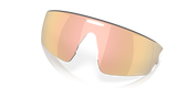 Oakley Vanguard Replacement Lenses