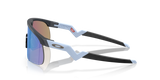 Oakley Resistor Sunglasses-3