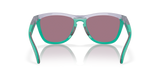 Oakley Frogskins Range Glasses-4