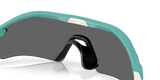 Oakley Radar Plate Sunglasses-7