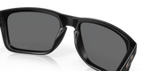 Oakley Holbrook XL Glasses-11
