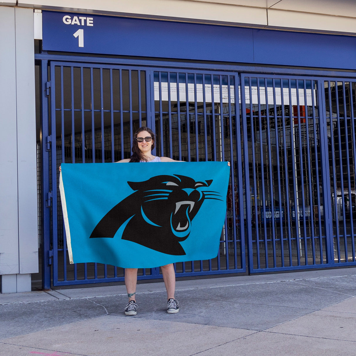 Rico Industries NFL  Carolina Panthers Standard 3' x 5' Banner Flag-4