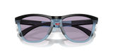 Oakley Frogskins Range A Glasses-9