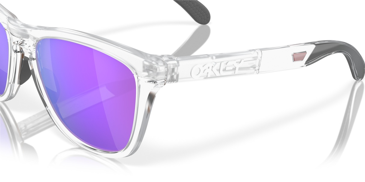 Oakley Frogskins Range Glasses-6