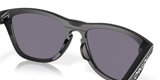 Oakley Frogskins Range Glasses-7