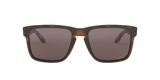 Oakley Holbrook XL Glasses-2