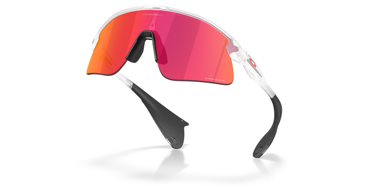 Oakley Stunt Devil Sunglasses-5