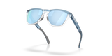 Oakley Frogskins Range XL Glasses-5