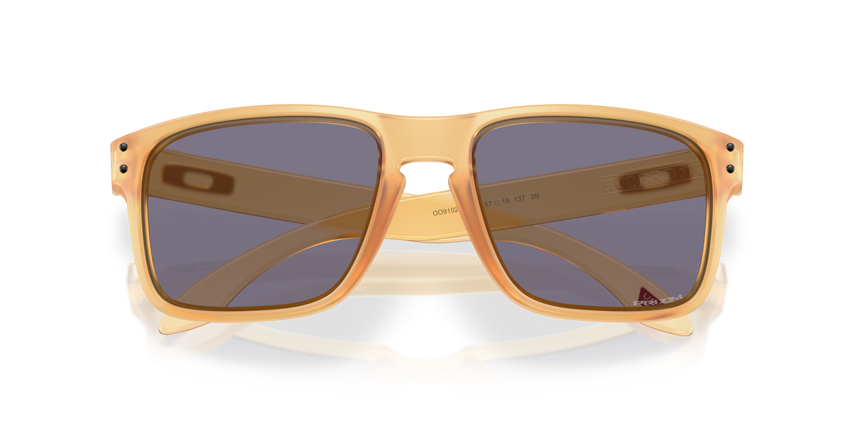 Oakley Holbrook Glasses-9