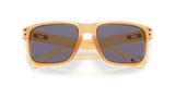 Oakley Holbrook Glasses-9
