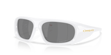 Oakley Belleville Glasses-2