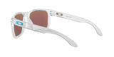 Oakley Holbrook XL Glasses-12