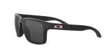 Oakley Holbrook Glasses-7