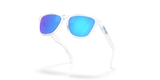 Oakley Frogskins S Glasses-5