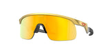 Oakley Resistor NFL Sunglasses-1