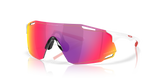Oakley Cybr Dyno Sunglasses-2