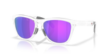 Oakley Frogskins Range XL Glasses-2