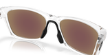 Oakley Paracord Glasses-7
