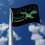 Rico Industries NFL  Philadelphia Eagles Retro 3' x 5' Banner Flag-2