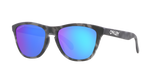 Oakley Frogskins A Glasses-5