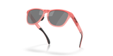 Oakley Frogskins Range Glasses-5