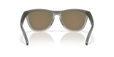 Oakley Frogskins Range XL Glasses-4