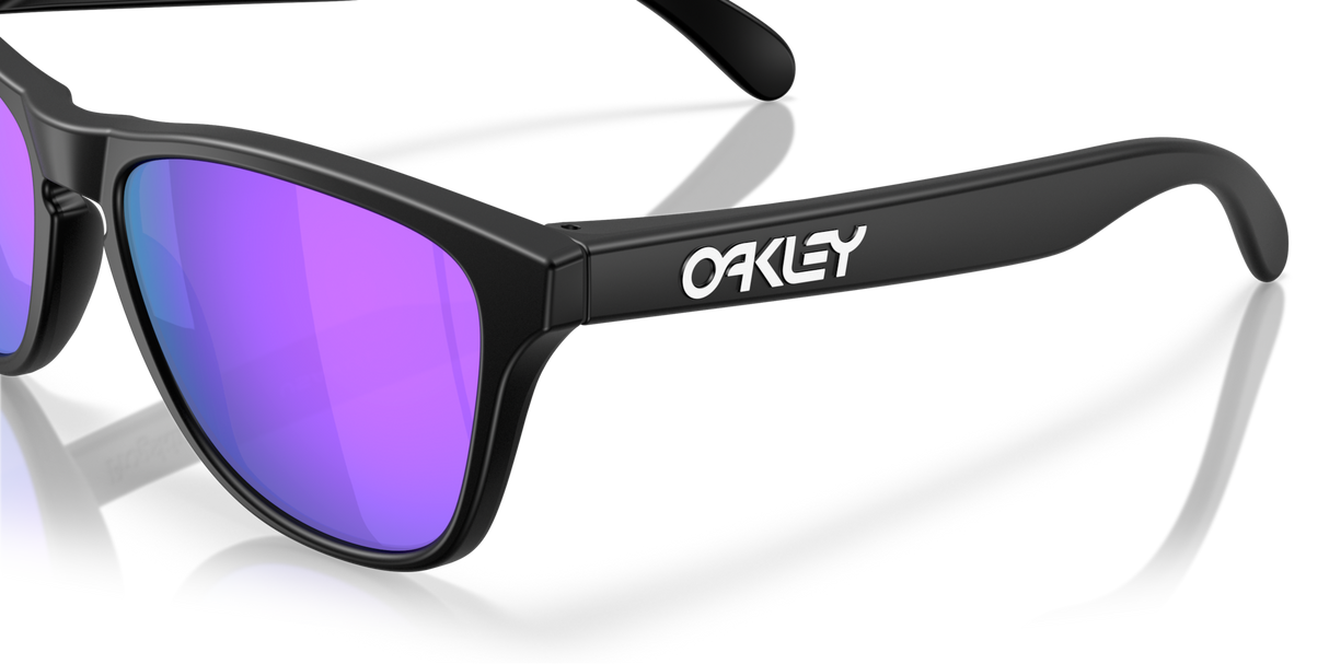 Oakley Frogskins S Glasses-6