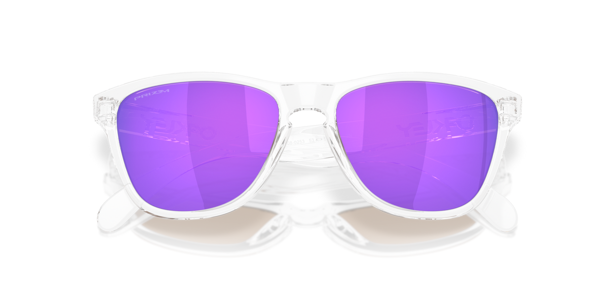 Oakley Frogskins S Glasses-9