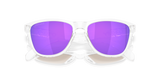 Oakley Frogskins S Glasses-9