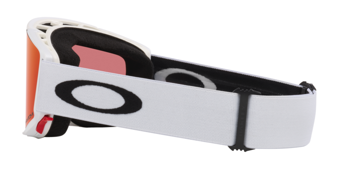 Oakley Flow Scape AF M Snow Goggles-6