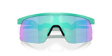 Oakley Resistor Sunglasses-9