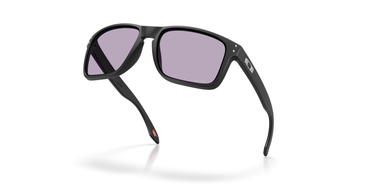 Oakley Holbrook XL Glasses-5