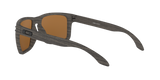 Oakley Holbrook XL Glasses-12