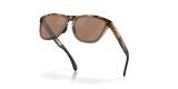 Oakley Frogskins Range Glasses-5