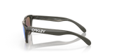 Oakley Frogskins XXS Glasses-4