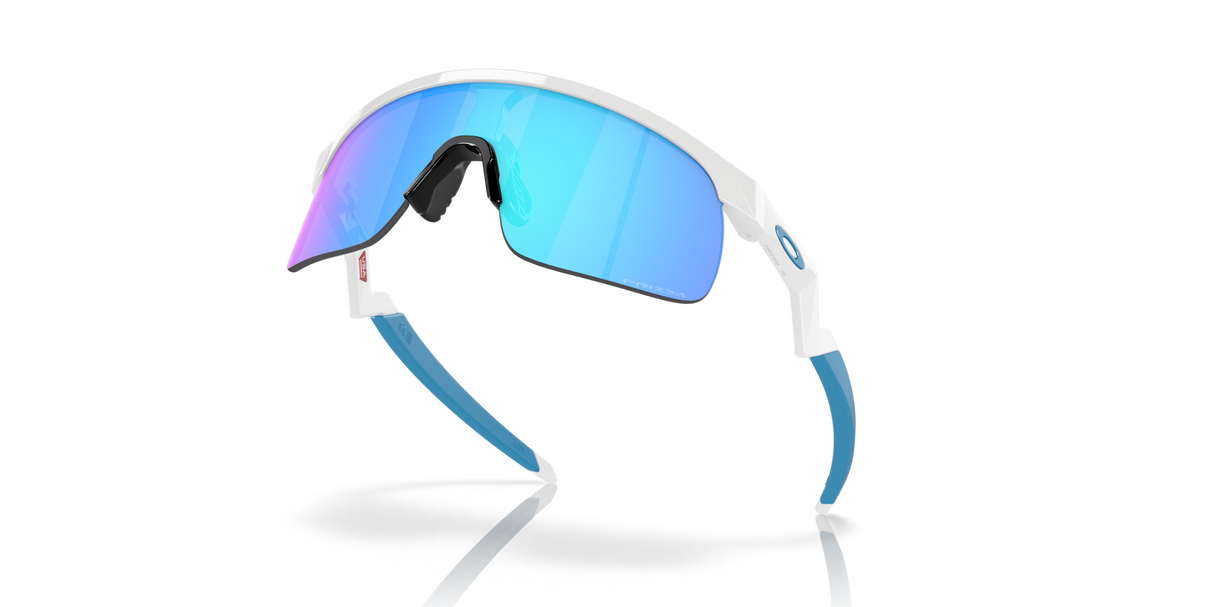 Oakley Resistor Sunglasses-8