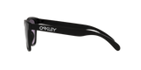 Oakley Frogskins A Glasses-8