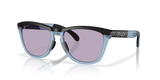 Oakley Frogskins Range A Glasses-2