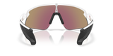 Oakley Stunt Devil Sunglasses-4