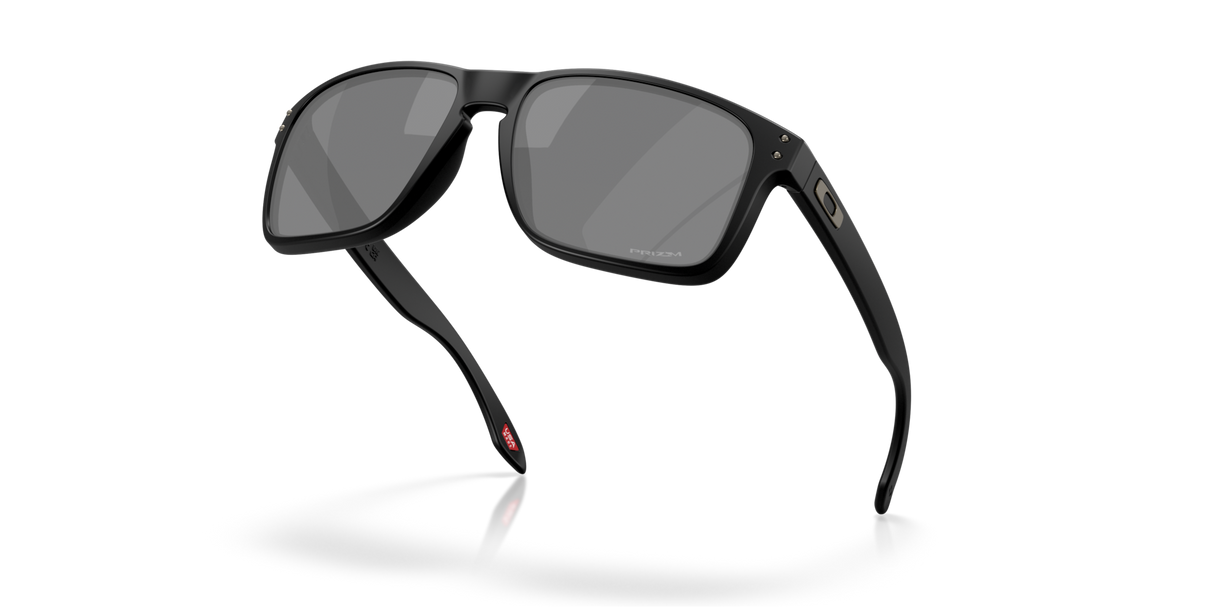 Oakley Holbrook XXL Glasses-5